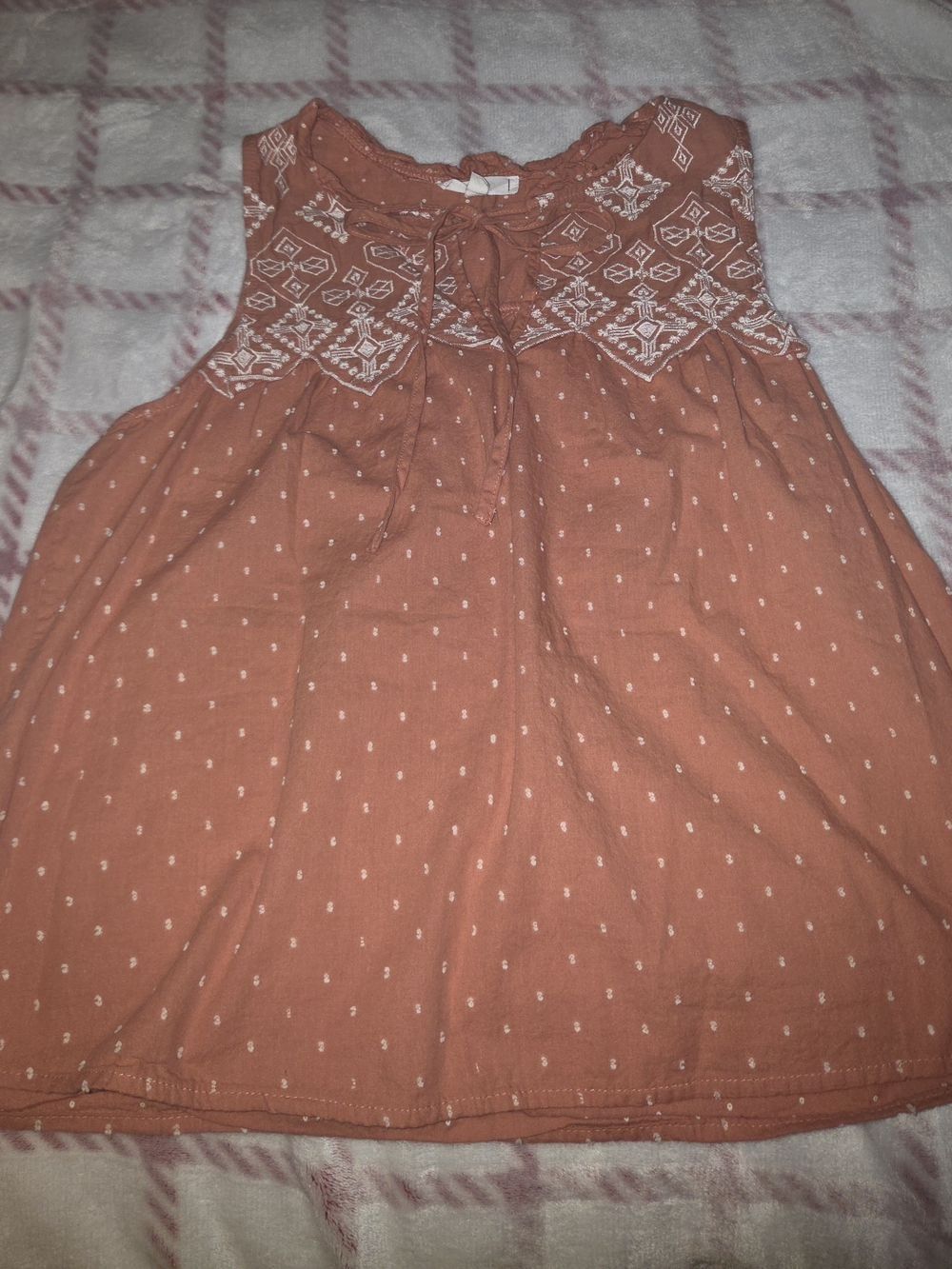mine Rust Embroidered Tie-Front Sleeveless Camisole